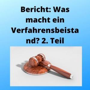 Bericht Was macht ein Verfahrensbeistand 2. Teil