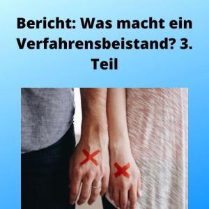 Bericht Was macht ein Verfahrensbeistand 3. Teil