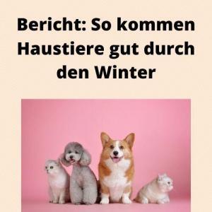 Bericht So kommen Haustiere gut durch den Winter